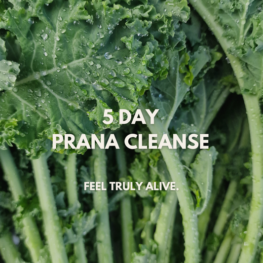 Prana 5 Day Juice Cleanse